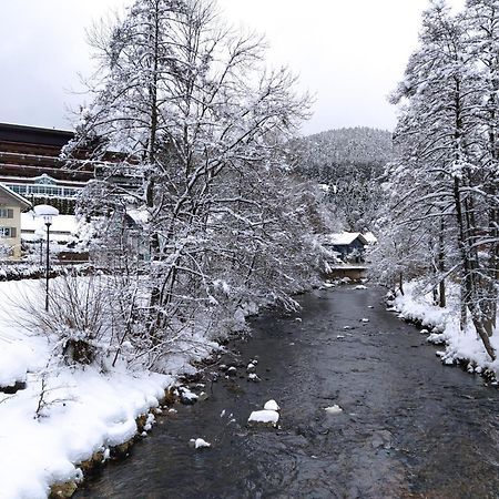 Ferienwohnung, Sauna & Gaestekarte Gratis Im Schwarzwald Baiersbronn Εξωτερικό φωτογραφία