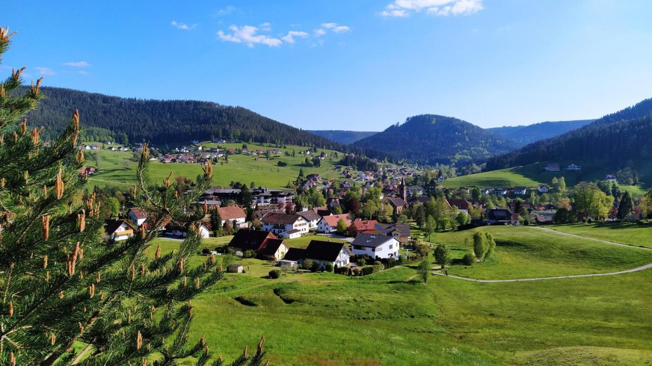 Ferienwohnung, Sauna & Gaestekarte Gratis Im Schwarzwald Baiersbronn Εξωτερικό φωτογραφία