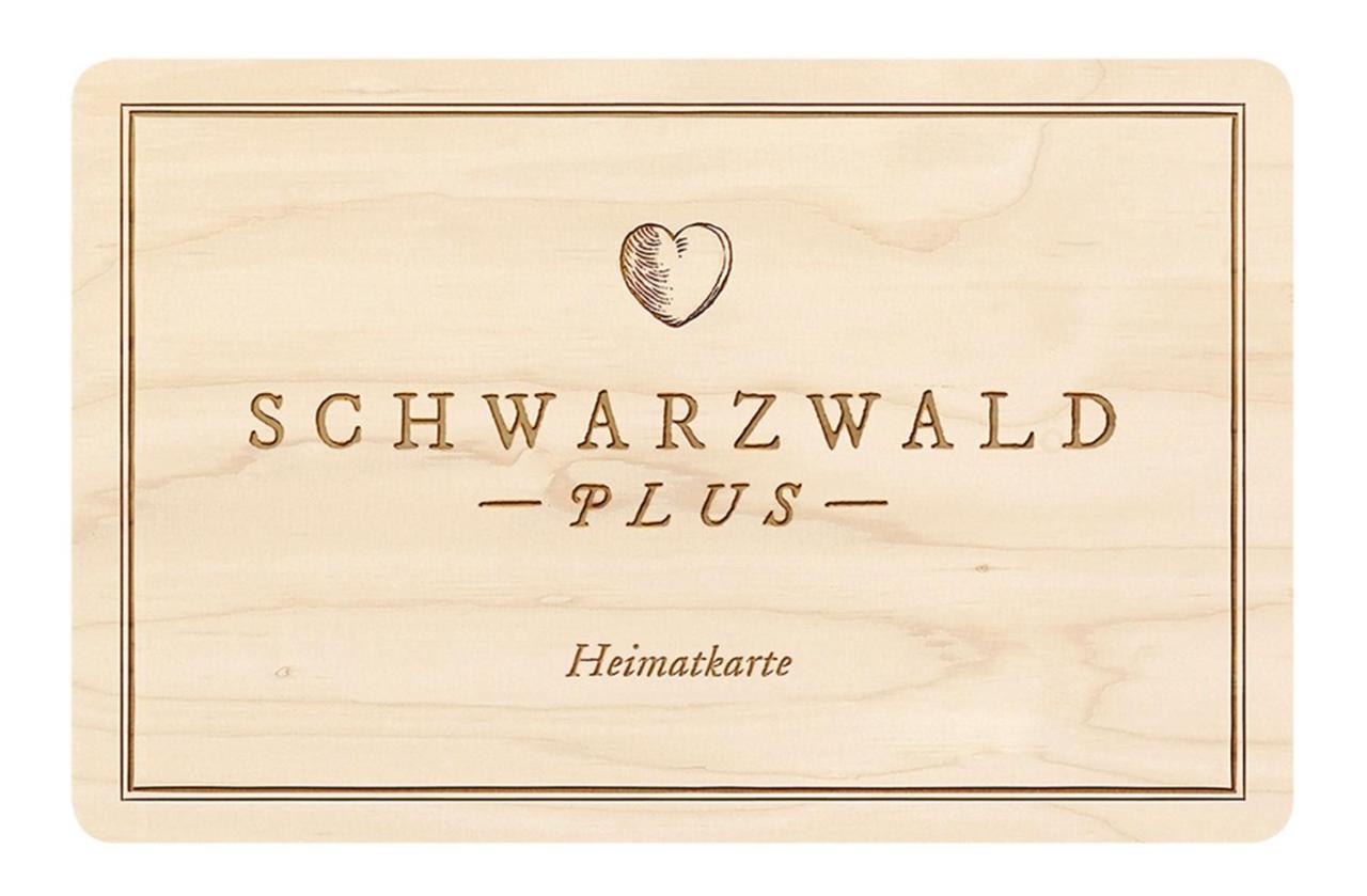 Ferienwohnung, Sauna & Gaestekarte Gratis Im Schwarzwald Baiersbronn Εξωτερικό φωτογραφία