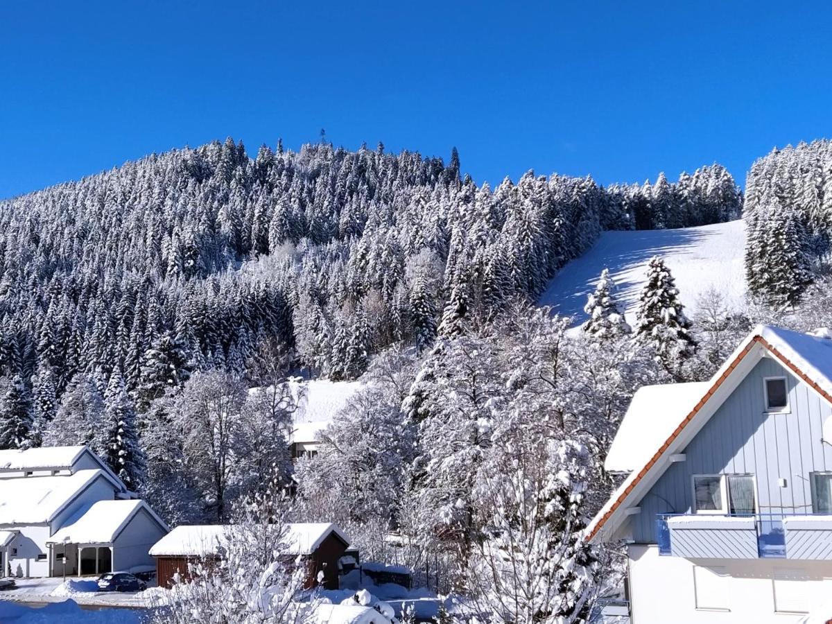 Ferienwohnung, Sauna & Gaestekarte Gratis Im Schwarzwald Baiersbronn Εξωτερικό φωτογραφία