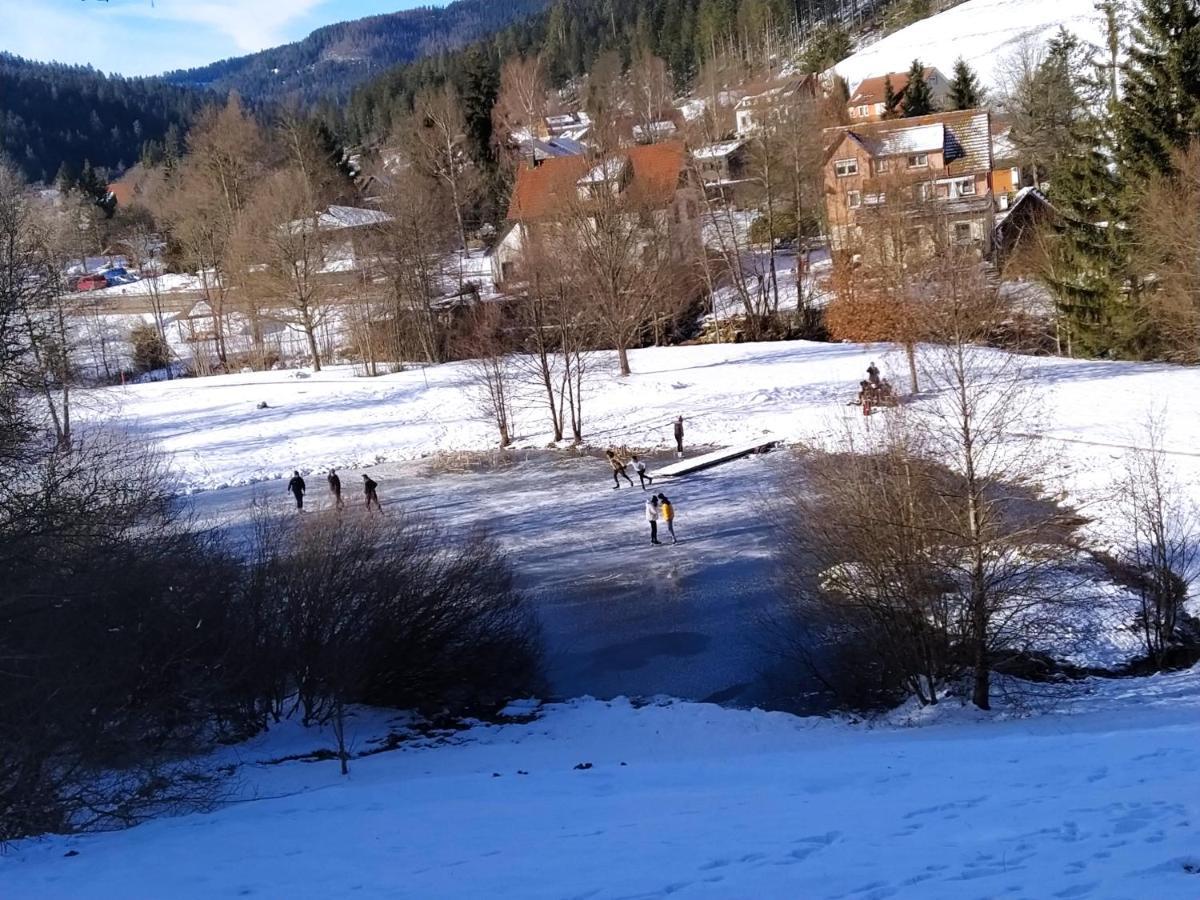 Ferienwohnung, Sauna & Gaestekarte Gratis Im Schwarzwald Baiersbronn Εξωτερικό φωτογραφία