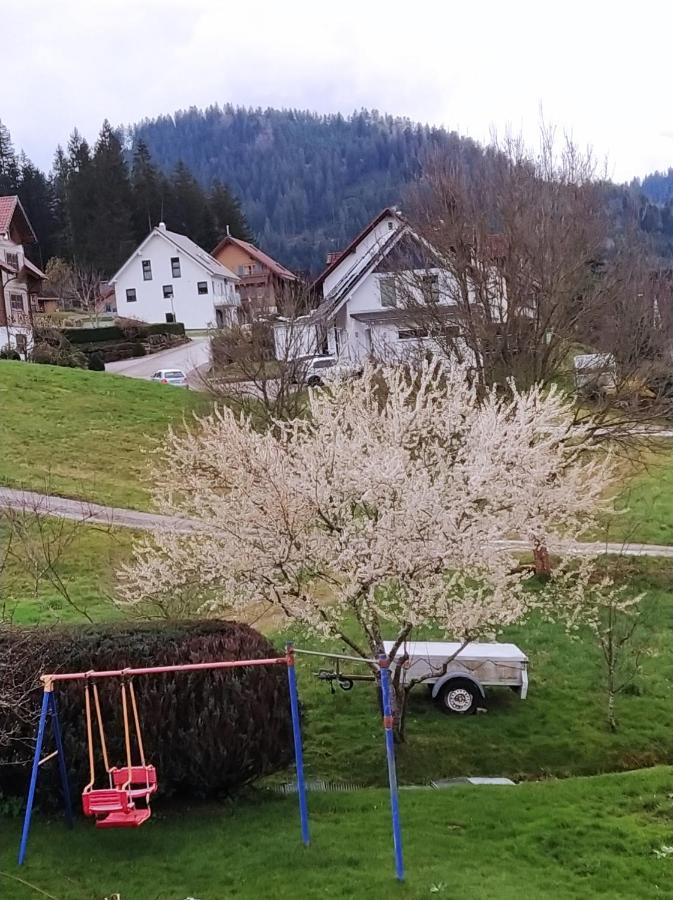 Ferienwohnung, Sauna & Gaestekarte Gratis Im Schwarzwald Baiersbronn Εξωτερικό φωτογραφία