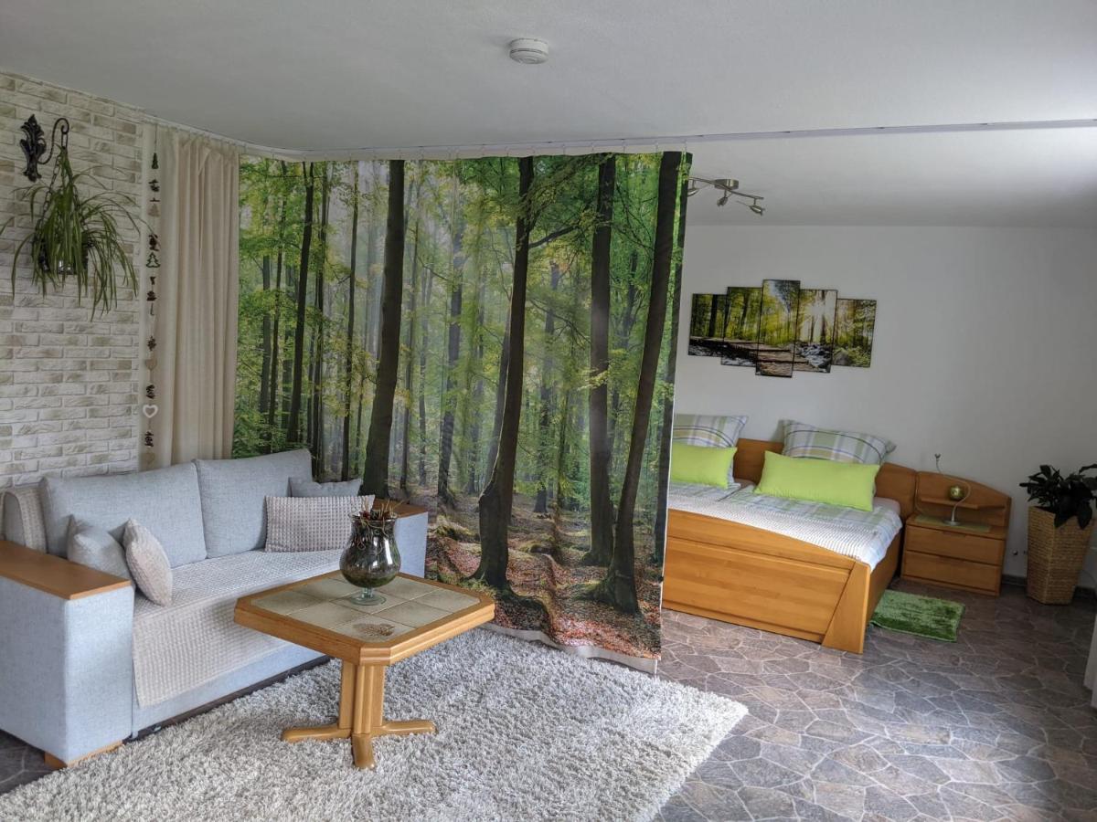 Ferienwohnung, Sauna & Gaestekarte Gratis Im Schwarzwald Baiersbronn Εξωτερικό φωτογραφία