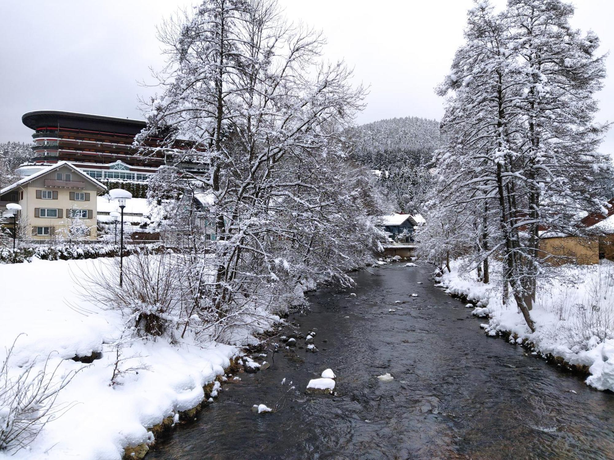 Ferienwohnung, Sauna & Gaestekarte Gratis Im Schwarzwald Baiersbronn Εξωτερικό φωτογραφία